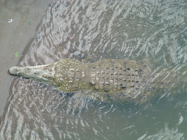 DSCF8696.JPG