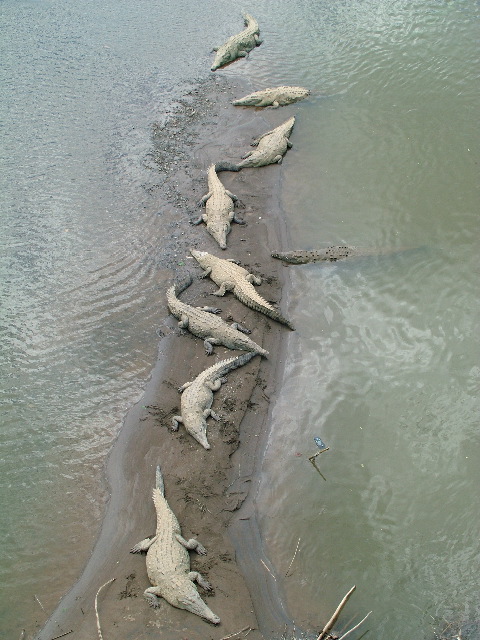DSCF8697.JPG