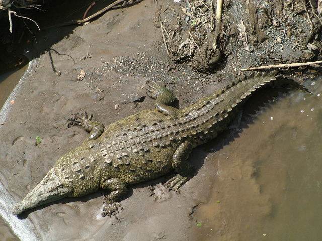 DSCF8698.JPG