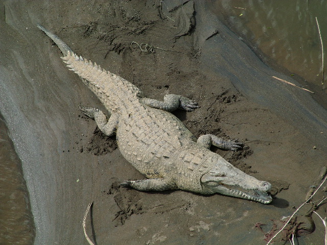 DSCF8699.JPG