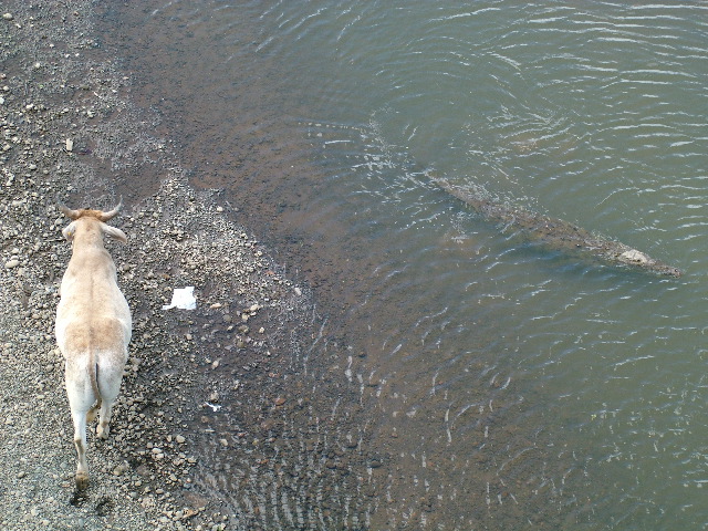 DSCF8700.JPG