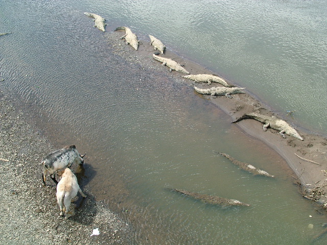 DSCF8701.JPG