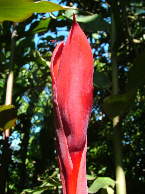 DSCF8703.JPG