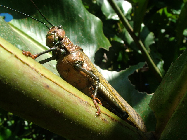 DSCF8704.JPG