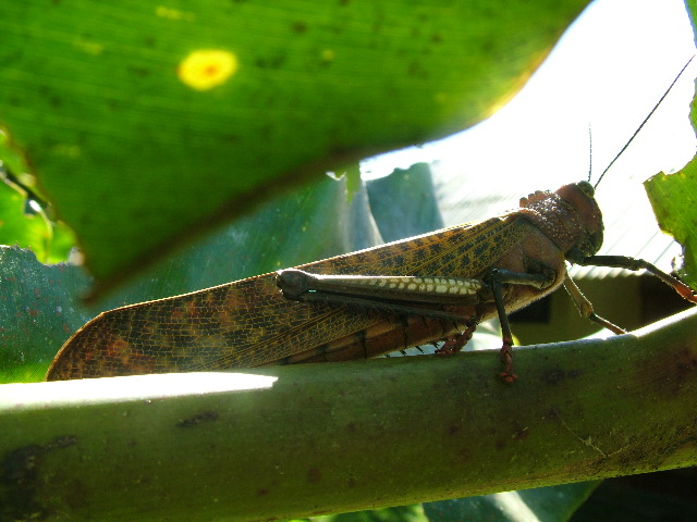DSCF8705.JPG