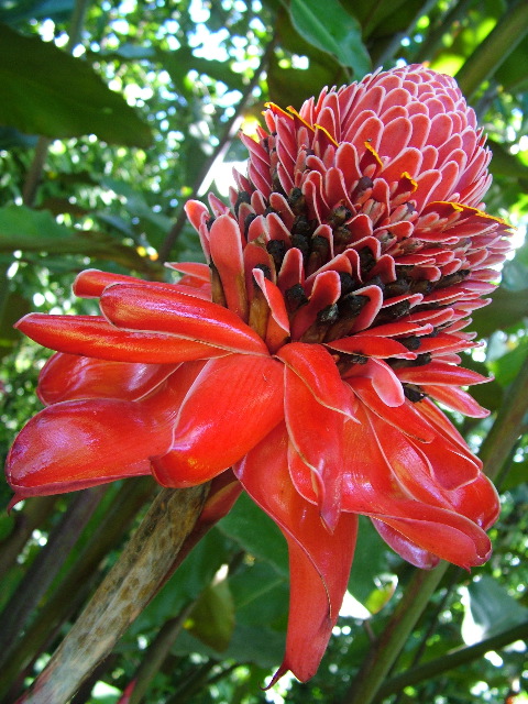 DSCF8706.JPG