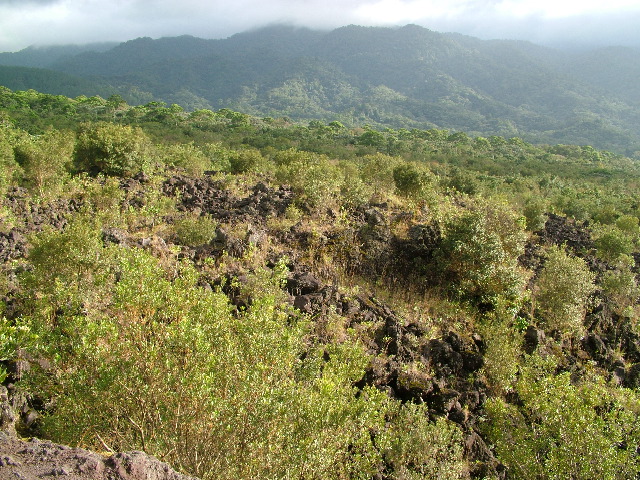 DSCF8601.JPG
