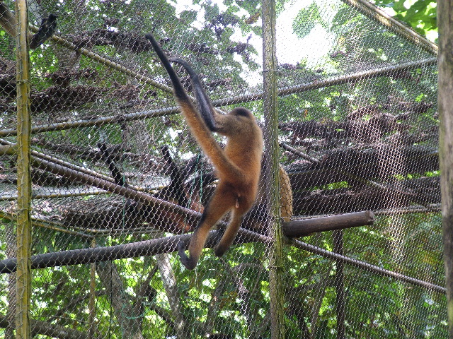 DSCF8720.JPG
