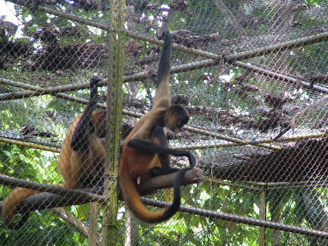 DSCF8721.JPG
