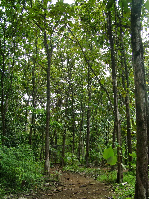 DSCF8722.JPG