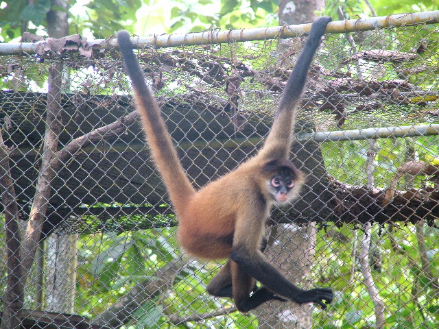 DSCF8723.JPG