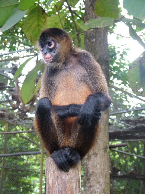 DSCF8724.JPG