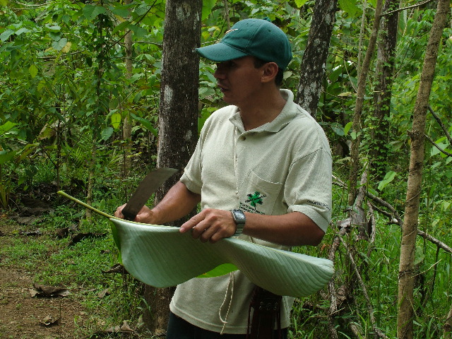DSCF8730.JPG