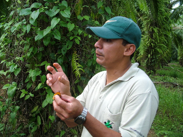 DSCF8738.JPG