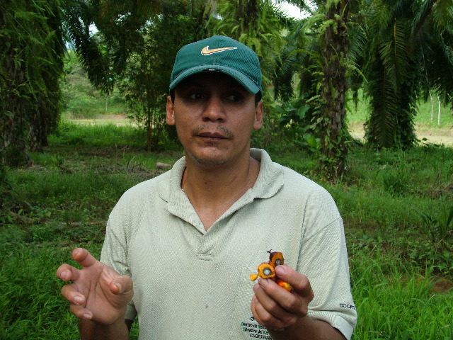 DSCF8739.JPG