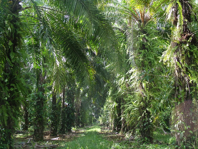 DSCF8741.JPG