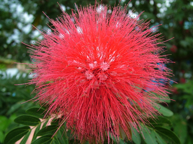 DSCF8744.JPG