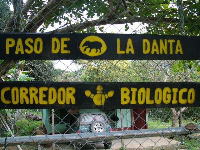 DSCF8745.JPG