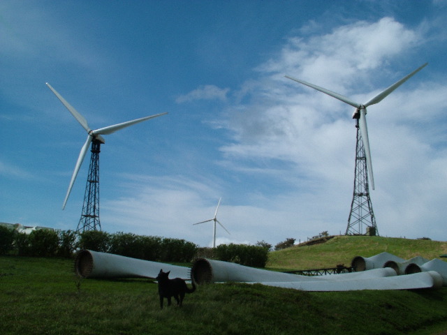DSCF8605.JPG