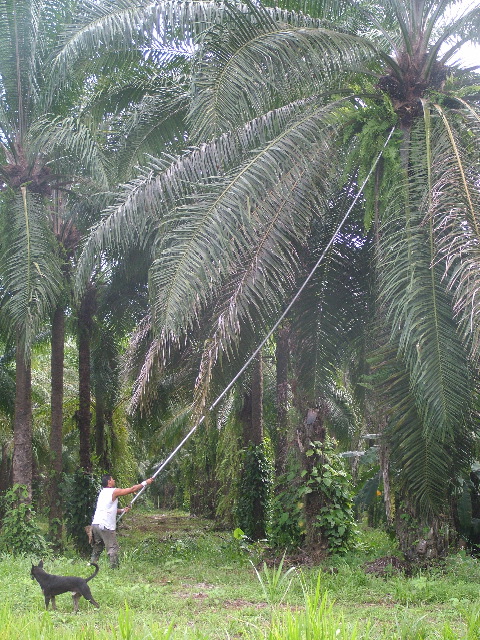 DSCF8750.JPG