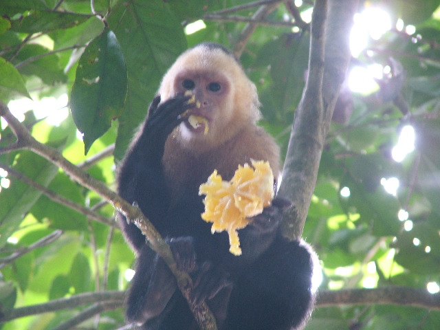 DSCF8753.JPG