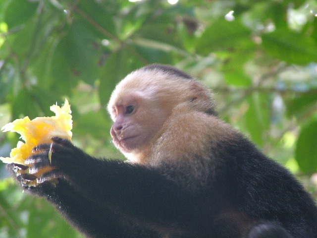 DSCF8756.JPG