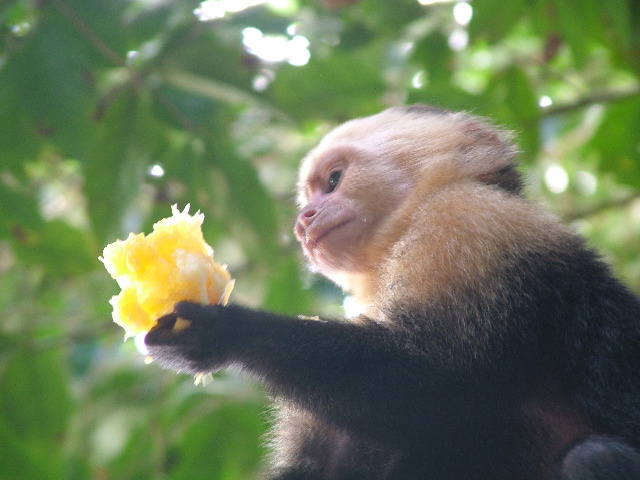 DSCF8757.JPG
