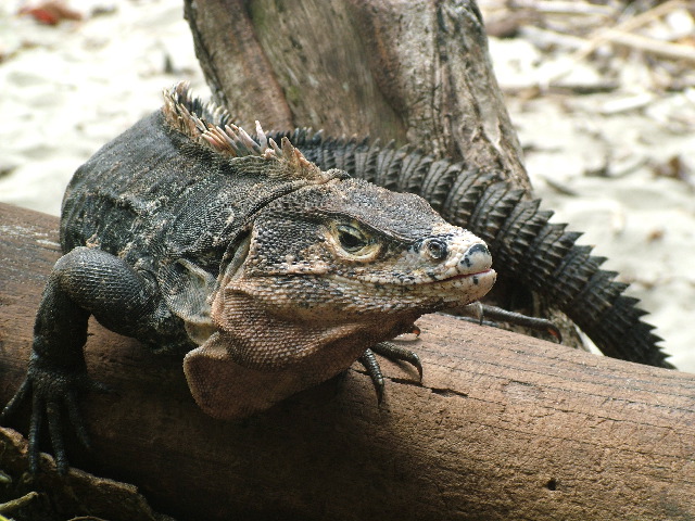 DSCF8758.JPG