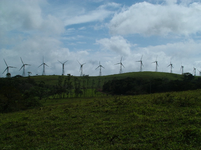 DSCF8606.JPG