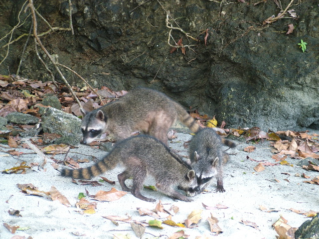 DSCF8760.JPG