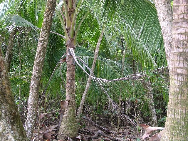 DSCF8761.JPG