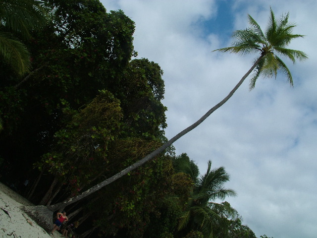DSCF8765.JPG