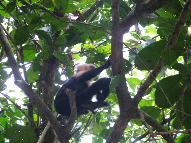 DSCF8767.JPG