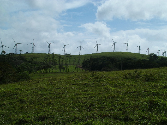 DSCF8607.JPG