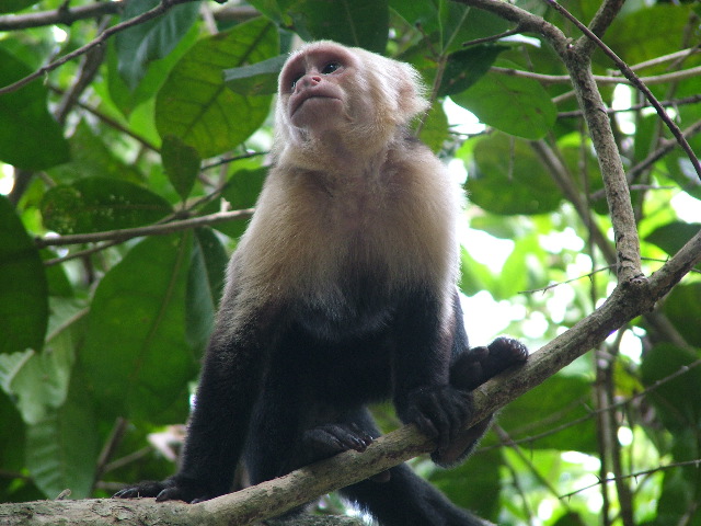DSCF8769.JPG