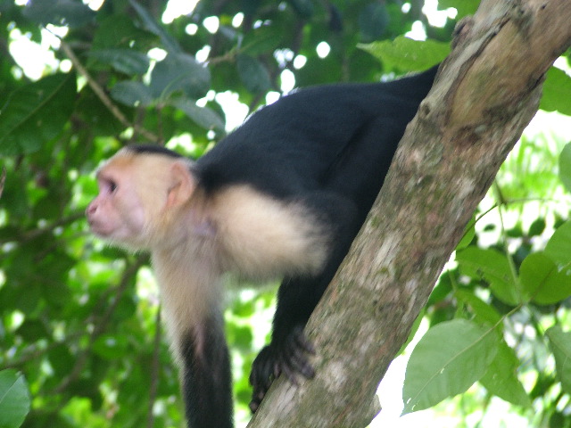DSCF8770.JPG