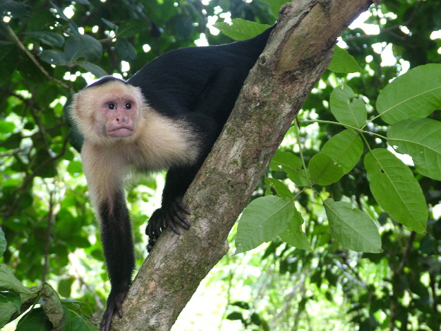 DSCF8771.JPG