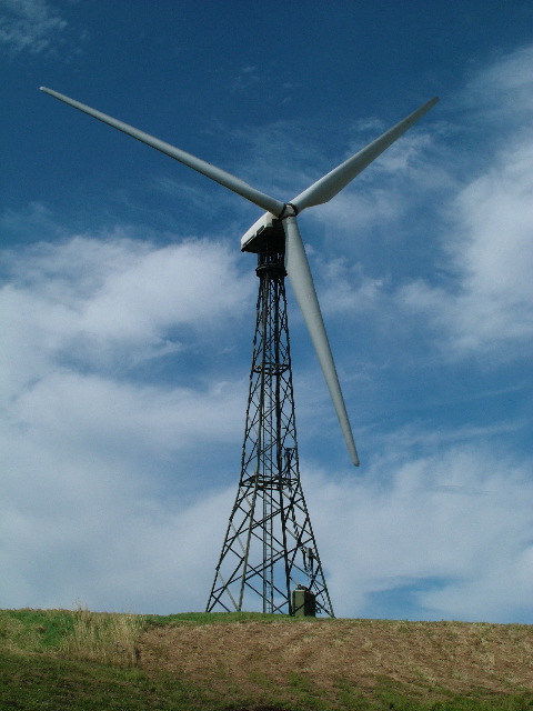 DSCF8608.JPG