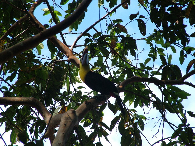 DSCF8781.JPG