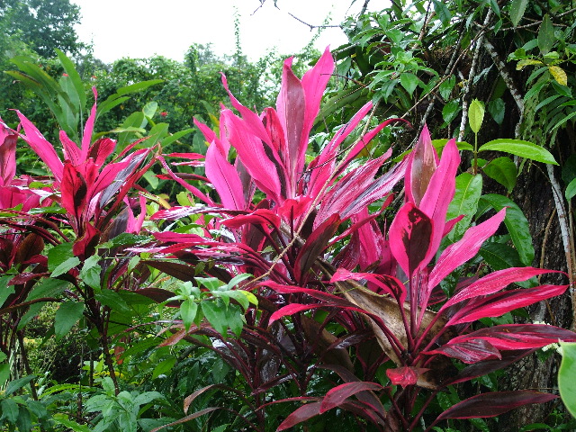 DSCF8591.JPG