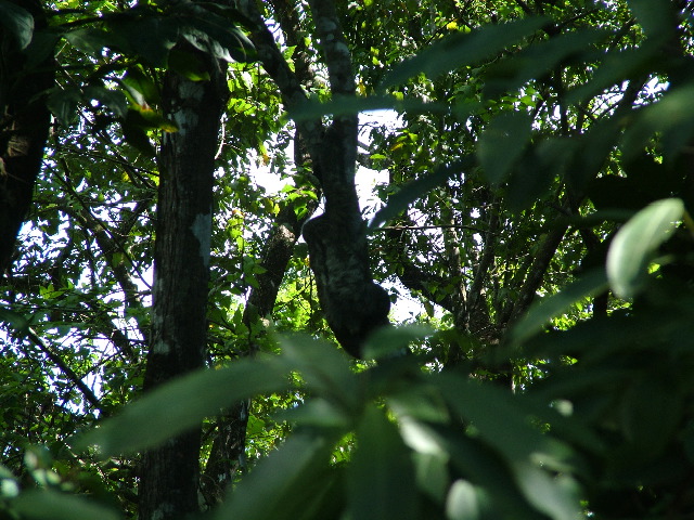 DSCF8791.JPG