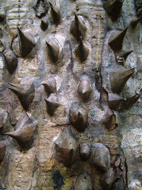 DSCF8792.JPG
