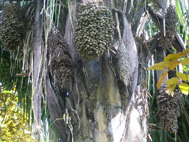 DSCF8794.JPG