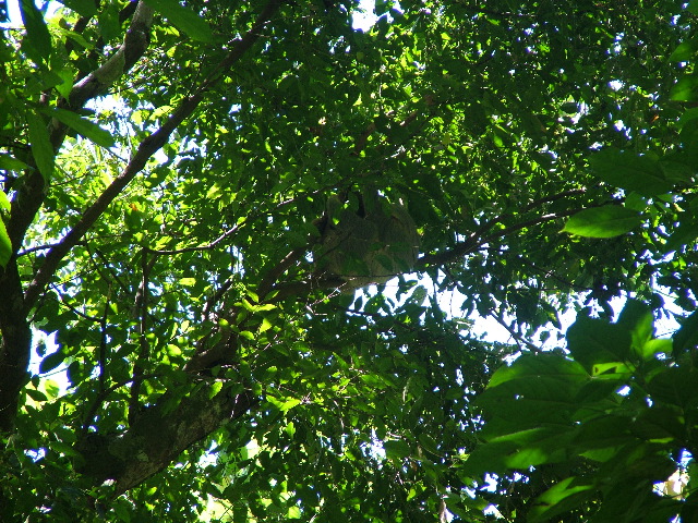 DSCF8797.JPG