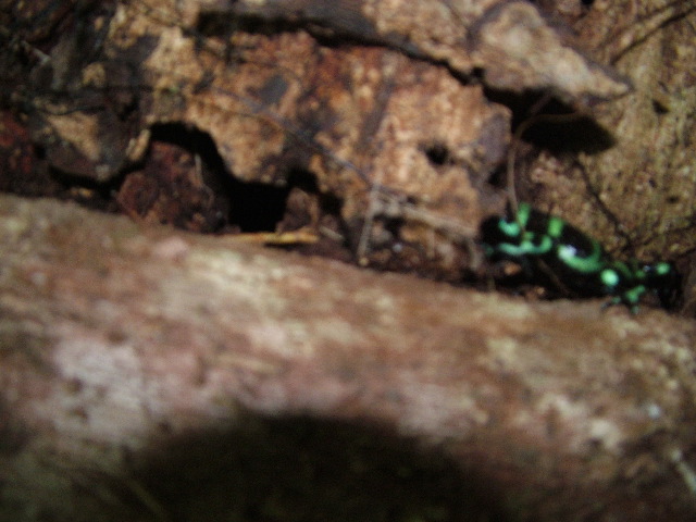 DSCF8801.JPG