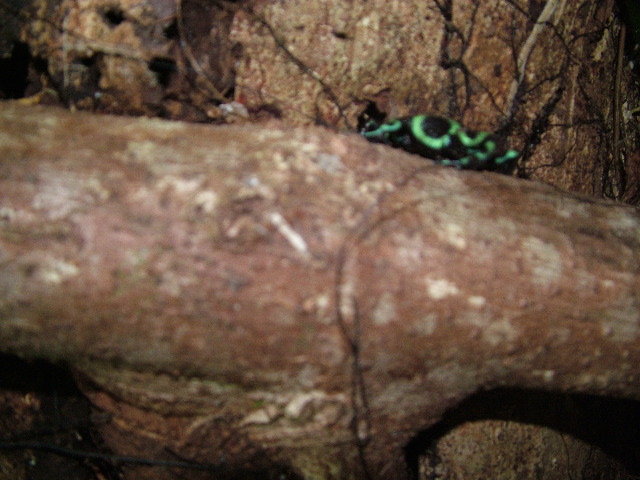 DSCF8802.JPG