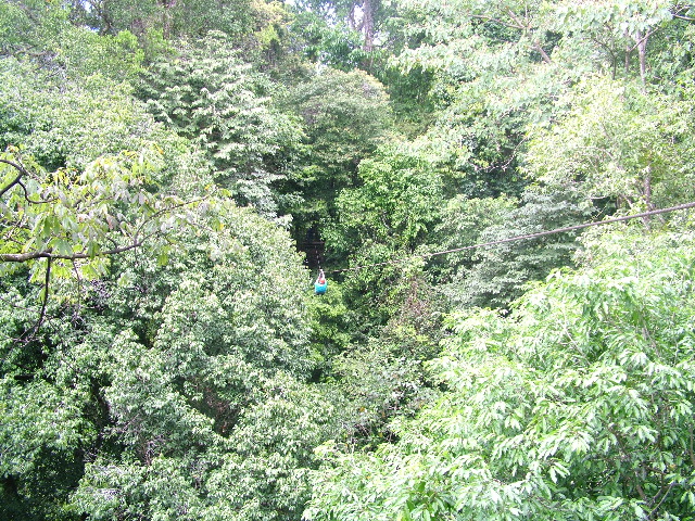 DSCF8808.JPG