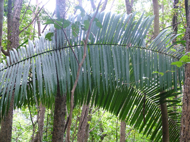 DSCF8810.JPG