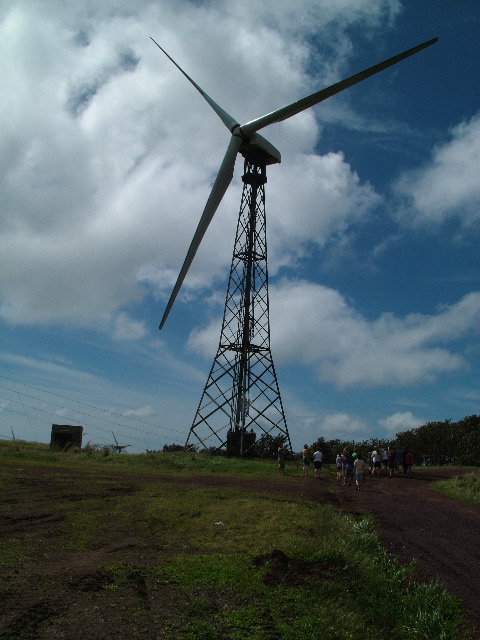 DSCF8611.JPG