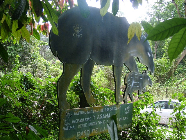 DSCF8813.JPG
